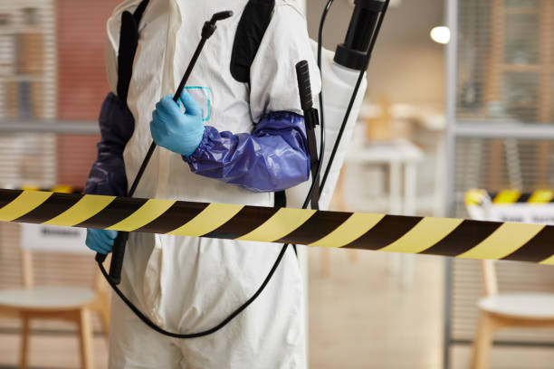Professional Biohazard technician working in Orlinda, TN